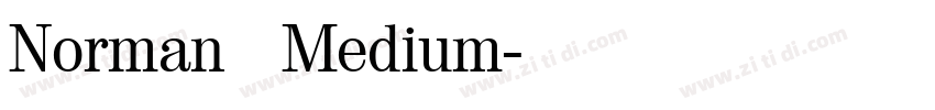 Norman   Medium字体转换